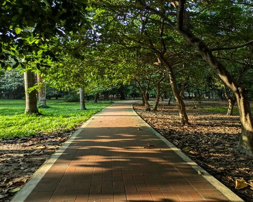 A quiet path in a green urban park with trees shading the afternoon sun